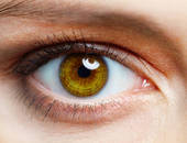 Cataracte, DMLA, glaucome : les troubles de la vue chez les personnes âgées